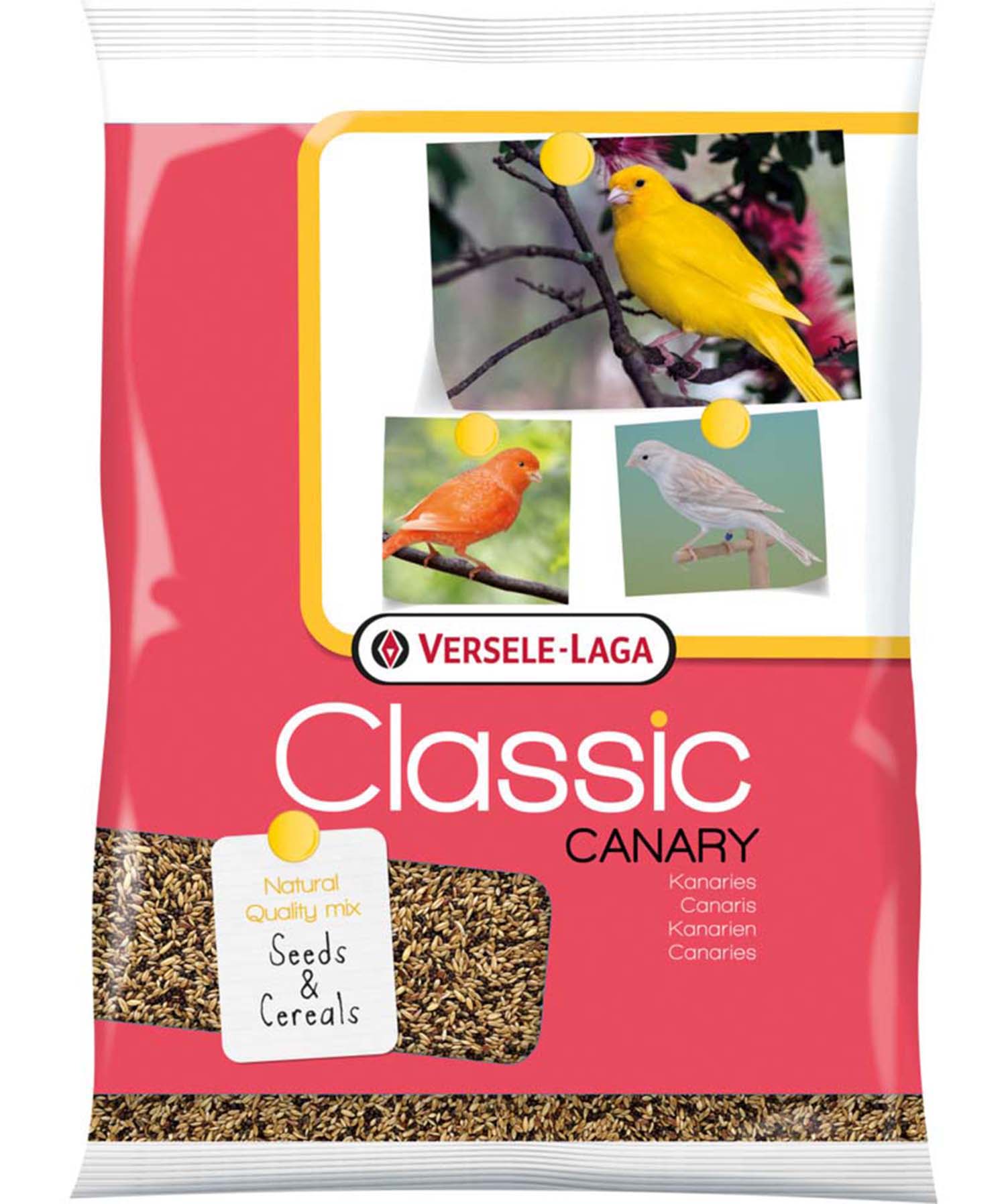 Canna Lily Seed Mix - Diverse Colors in Every Pack