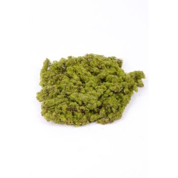 Mahovina Zeleni Tanjir - 20 cm