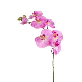 Orhideja Grana Roze - 80 cm