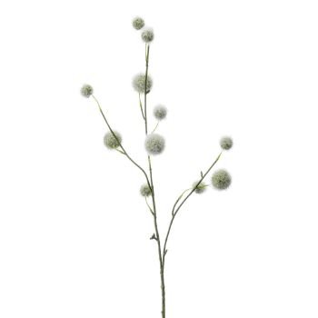 Pom Pom Grana - 78 cm