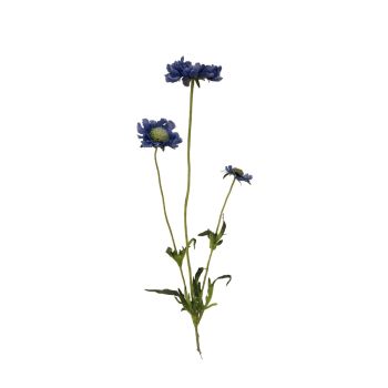 Scabiosa Plava - 3 Grane - 65 cm