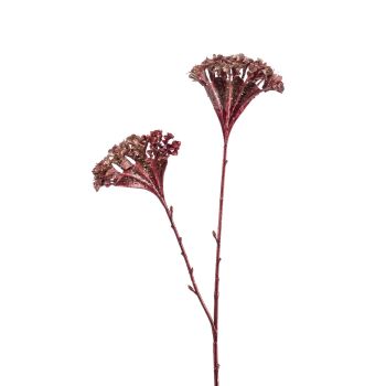 Celosia Crvena - 2 Grane - 72 cm