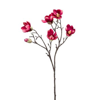 Magnolia Grana Pink - 65 cm