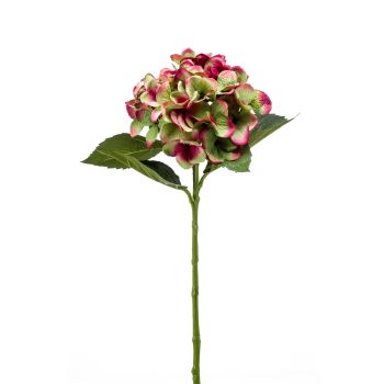Hortenzija Zeleno - Crvena - 53 cm