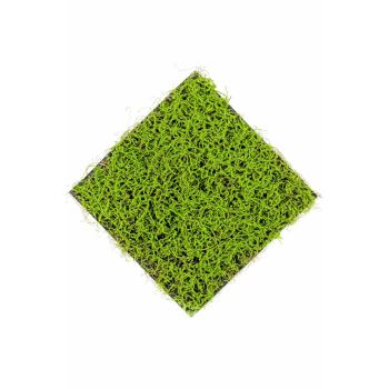 Trava Zelena Panel 50X50 cm