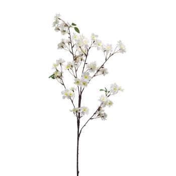 Cvet Šljiva - 88 cm