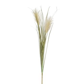 Pampas Trava - 2 Grane - 78 cm