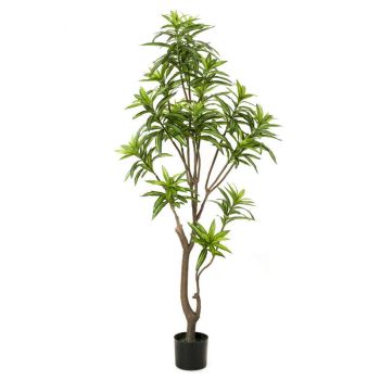 Veštačko Drvo Dracena - 402 lista - 155 cm