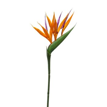Rajska Ptica Mini Narandžasta - 65 cm