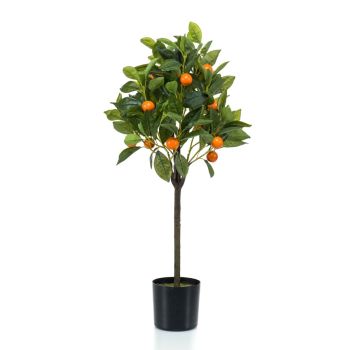 Narandžino Drvo U Plastičnoj Saksiji - 75 cm