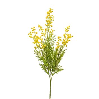 Mimoza Prskana Žuta - 68 cm