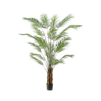 Veštačka Palma Areca - 240 cm