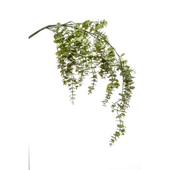 Eukaliptus Viseći - 120 cm