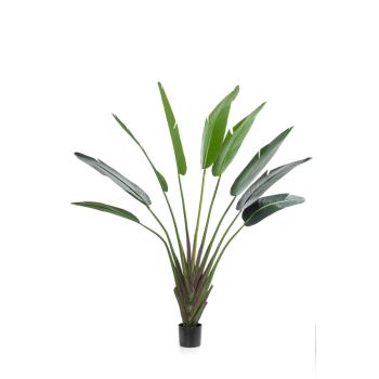 Veštačko Drvo Strelitzia - 9 Listova - 180 cm