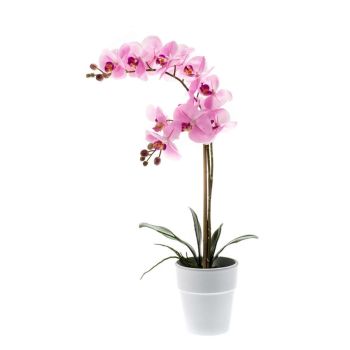 Orhideja Pink U Beloj Saksiji - 65 cm