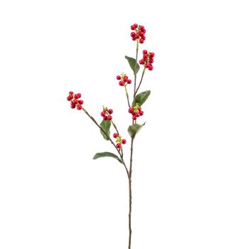 Snowberry Grana Crvena - 73 cm