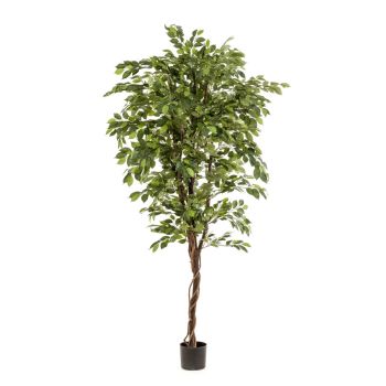 Veštačko Drvo Fikus De Luxe - 2430 listova - 200 cm