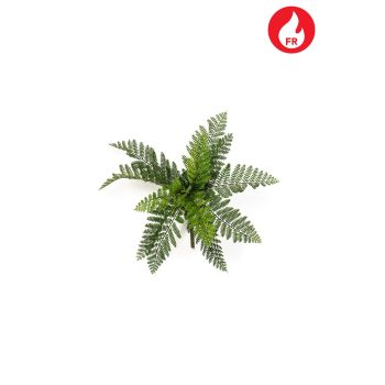 Paprat šumska 25 cm vatrootporna