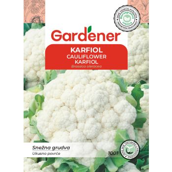 Karfiol snežna grudva - Brassica oleracea