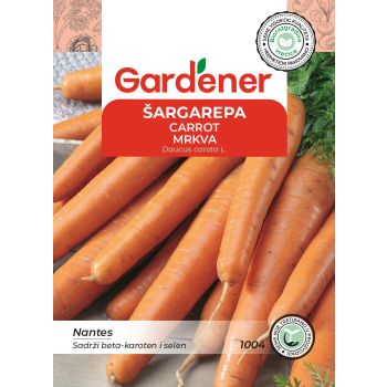 Šargarepa nantes - Daucus carota