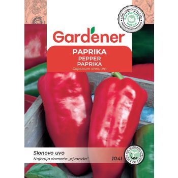 Paprika slonovo uvo - Capsicum annuum