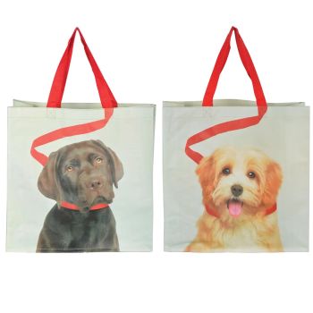 Ceger za kupovinu - pas i povodac - više vrsta