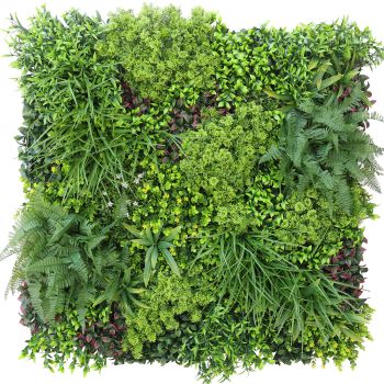 Zeleni zid UV otporan - Kordilina / Bromelia / Tradeskancija mix - 100x100 cm