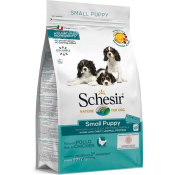 Schesir Dry Small Puppy - 2 kg