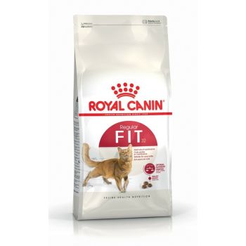 Royal Canin hrana za mačke - Fit 32 - 0.4 kg