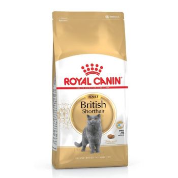 Royal Canin hrana za mačke - British shorthair 34 - 0.4 kg