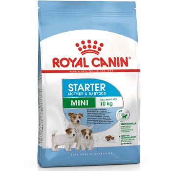Royal Canin hrana za pse - Mini starter - 1 kg