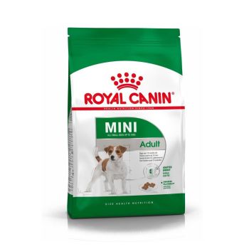 Royal Canin hrana za pse - Mini adult - 0.8 kg