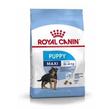 Royal Canin hrana za pse - Maxi puppy - 4 kg