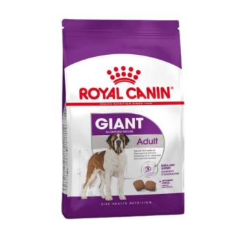 Royal Canin hrana za pse - Giant adult - 15 kg