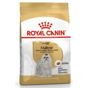 Royal Canin hrana za pse - Maltese - 0.5 kg