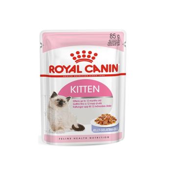 Royal Canin wet za mačke - Jelly kitten instinctive - 85 g