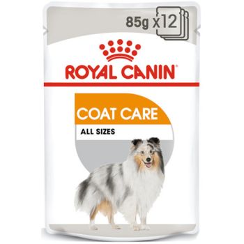 Royal Canin wet za pse - Coat care dog - 85 g