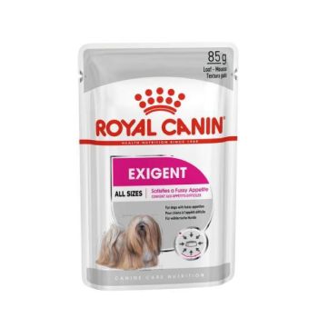 Royal Canin wet za pse - Exigent care dog - 85 g
