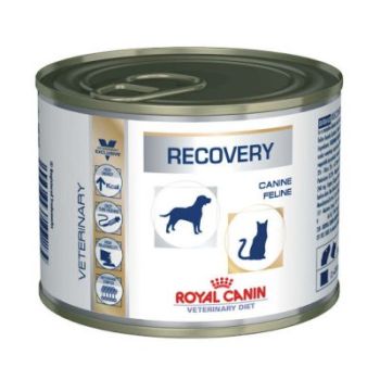 Royal Canin medicinska hrana - Recovery dog c195 gr