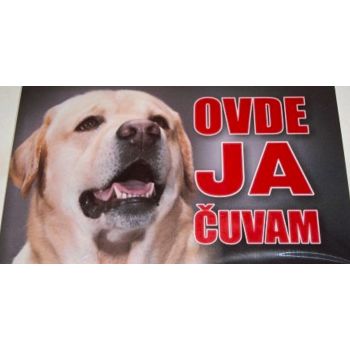 Pvc Tabla Labrador