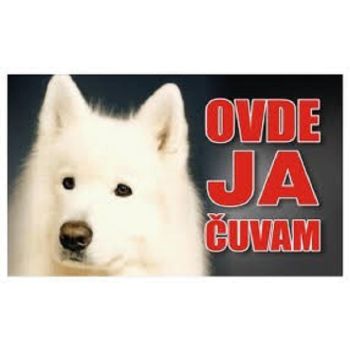 Pvc Tabla Samojed