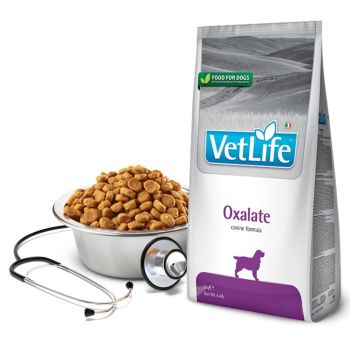 Vet Life Dog Oxalate 2 kg