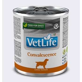 Vet Life Dog Convalescence 300 Gr