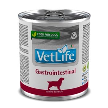 Vet Life Dog Gastrointestinal 300 Gr