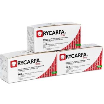 Rycarfa Flavour, 10 tableta 100 mg