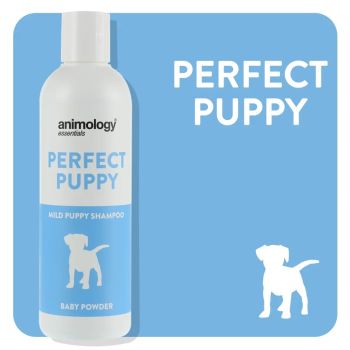 Perfect Puppy Baby Powder Shampoo 250 ml