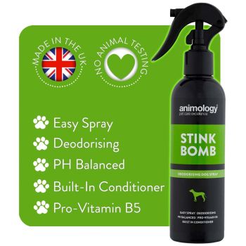 Stink Bomb Refreshing Spray 250 ml