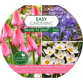 Easy gardening - pink / plava - pakovanje 19 lukovica