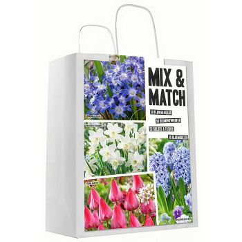 Mix & match - plava / pink - pakovanje 50 lukovica