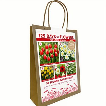 125 dana cvetanja - Mix za balkone - crvena / žuta - pakovanje 50 lukovica